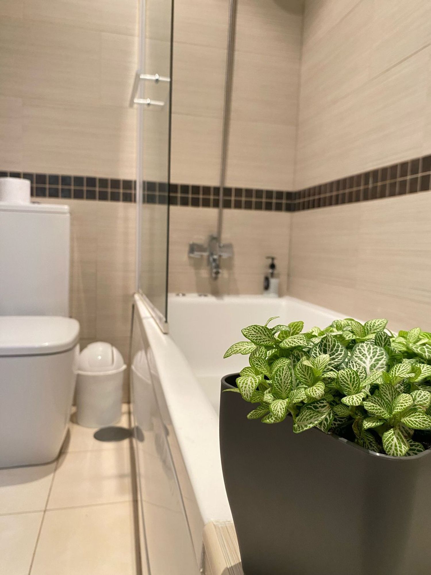 Piso en calle do Areal, 16 - Foto 12