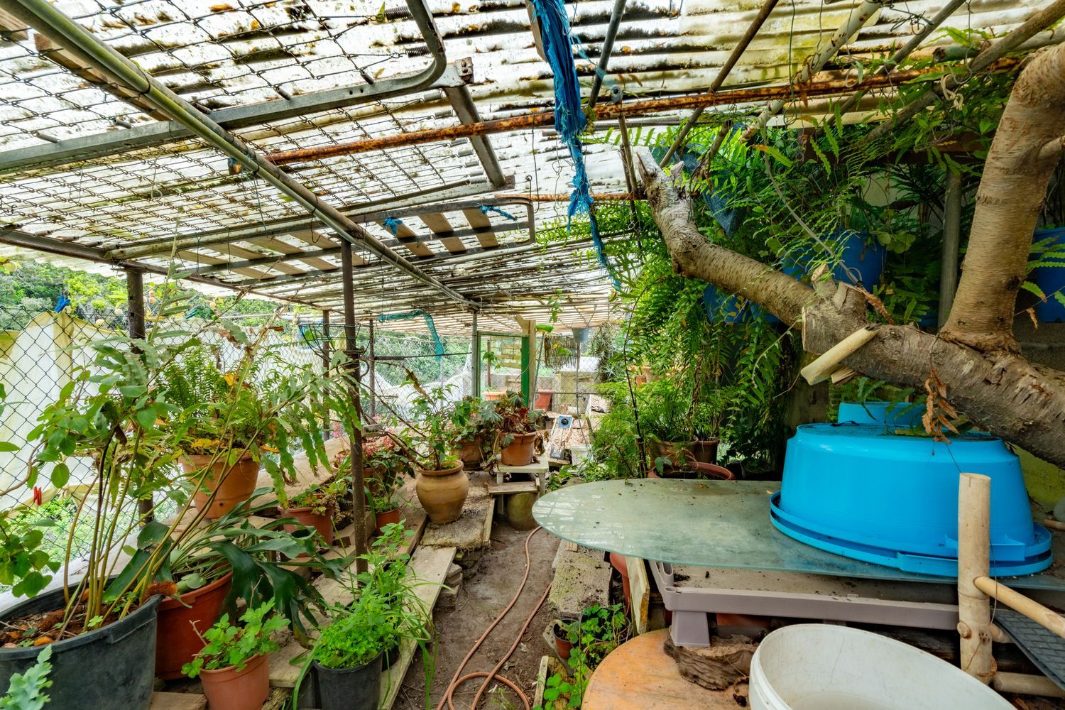 Casa rural en Cañada Lima s/n - Foto 8