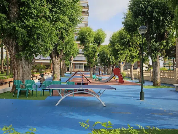 Piso en Avenida de Holanda, 20, Playa de San Juan - Foto 32
