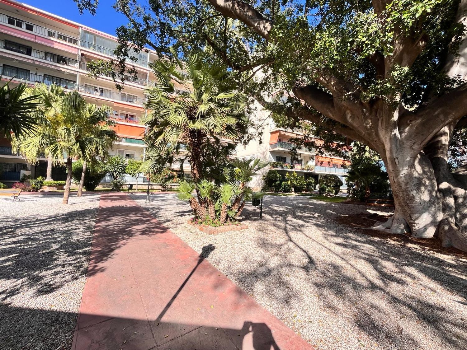 Piso en Avenida Pintor Sorolla, 57, Limonar - Foto 4
