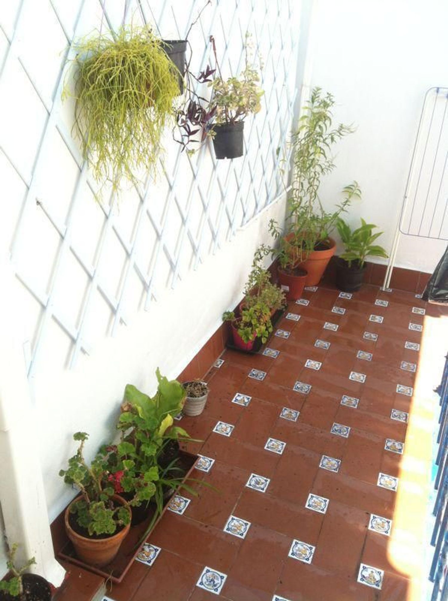 Dúplex en Barrio Puerta Carmona-Puerta Osario-Amador de los Ríos - Foto 9