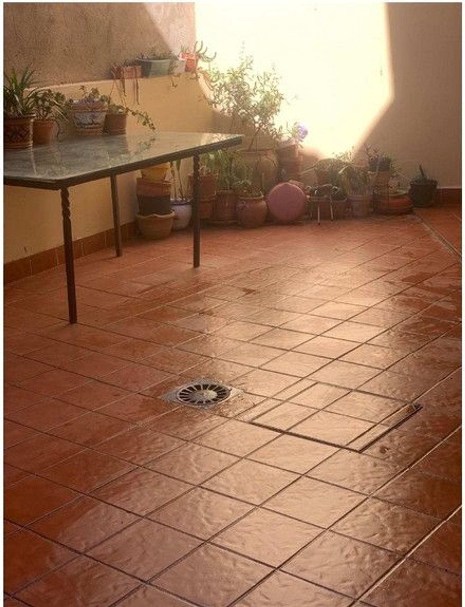 Casa o chalet independiente en Calle Expo 92, 9 - Foto 6