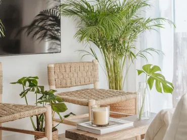 Apartamento en  Valencia Capital - Foto 3