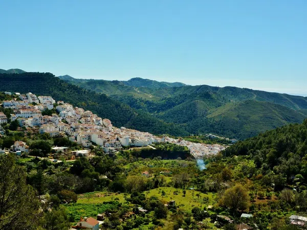 Casa independiente en calle Diseminado s/n sn - Foto 24