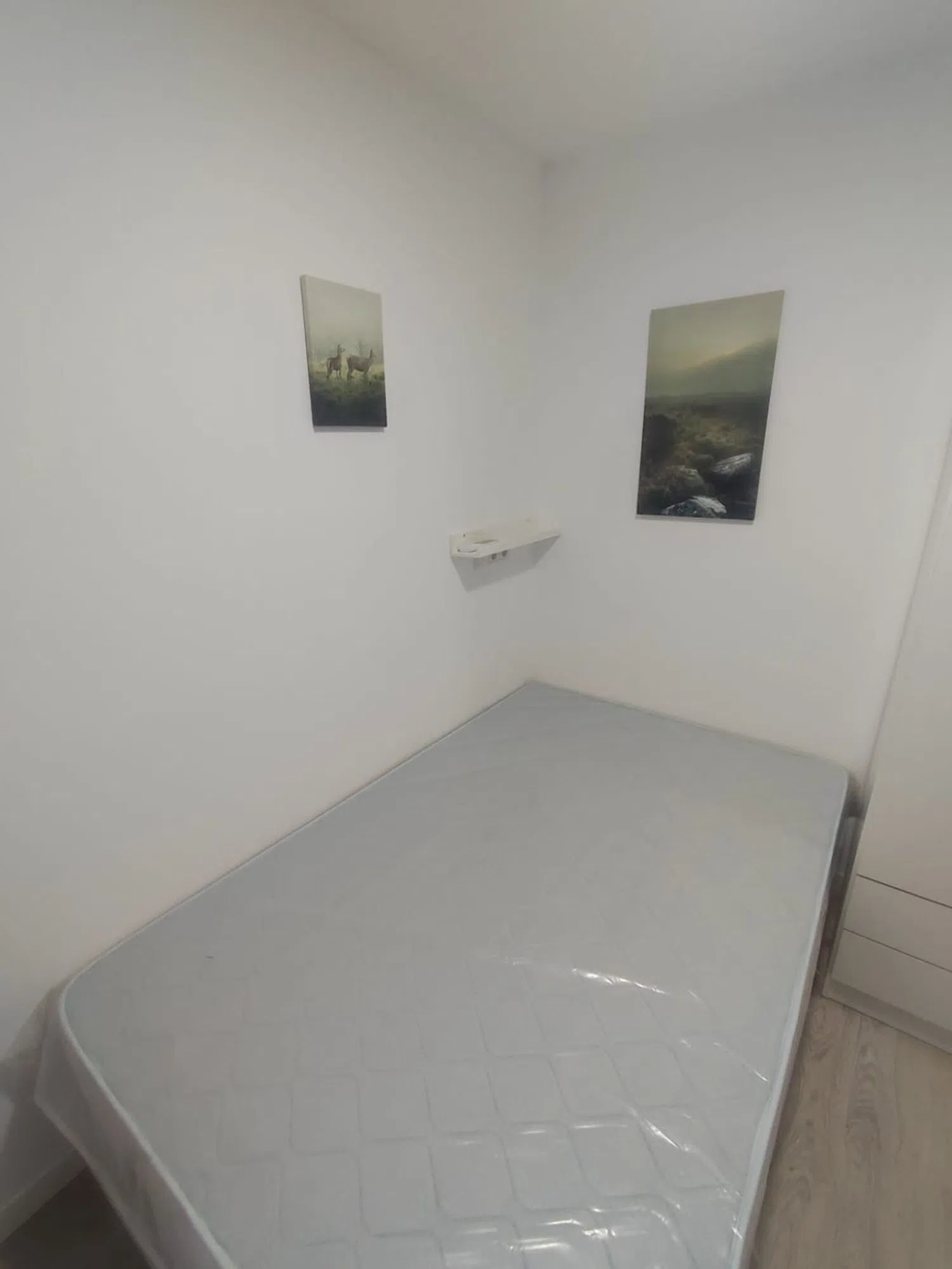 Estudio en calle de Pablo Rica, 26 - Foto 15