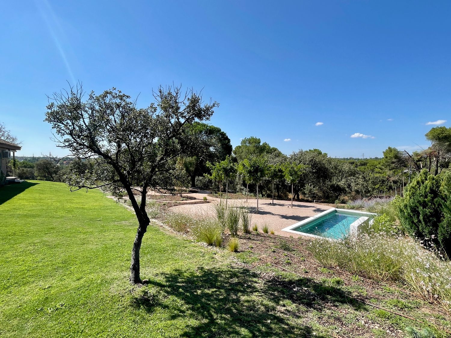 Casa o chalet independiente en Escorzonera, Monteclaro - Foto 16