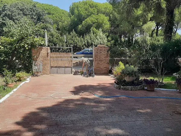 Casa rural en Carretera Arcos - El Bosque s/n - Foto 1
