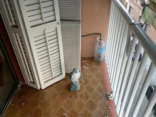 Piso en Avenida de Tomàs Giménez, Pubilla Cases - Foto 4
