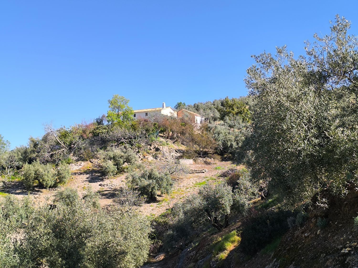 Cortijo en Via Sin Nombre s/n - Foto 30
