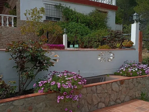 Casa o chalet independiente en Via Sin Nombre s/n - Foto 24