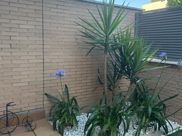 Piso en Calle Junta de Castilla y Leon, 3, Valdepastores - Las Encinas, Valdepastores - Las Encinas - Foto 26