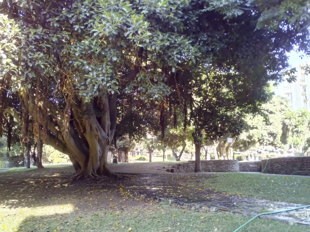 Estudio en  Avenida Gamonal 6B - Foto 15