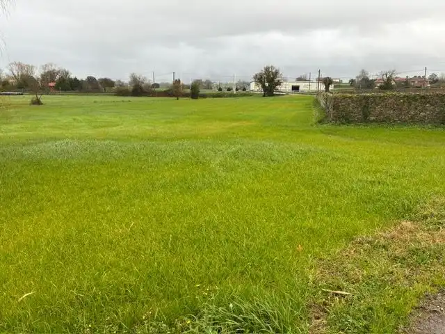 Terreno Residencial en  Calle el Hoyo 0 - Foto 4