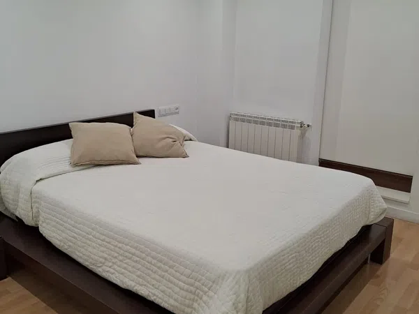 Piso en Calle de Lepant, 43, El Botànic - Foto 15