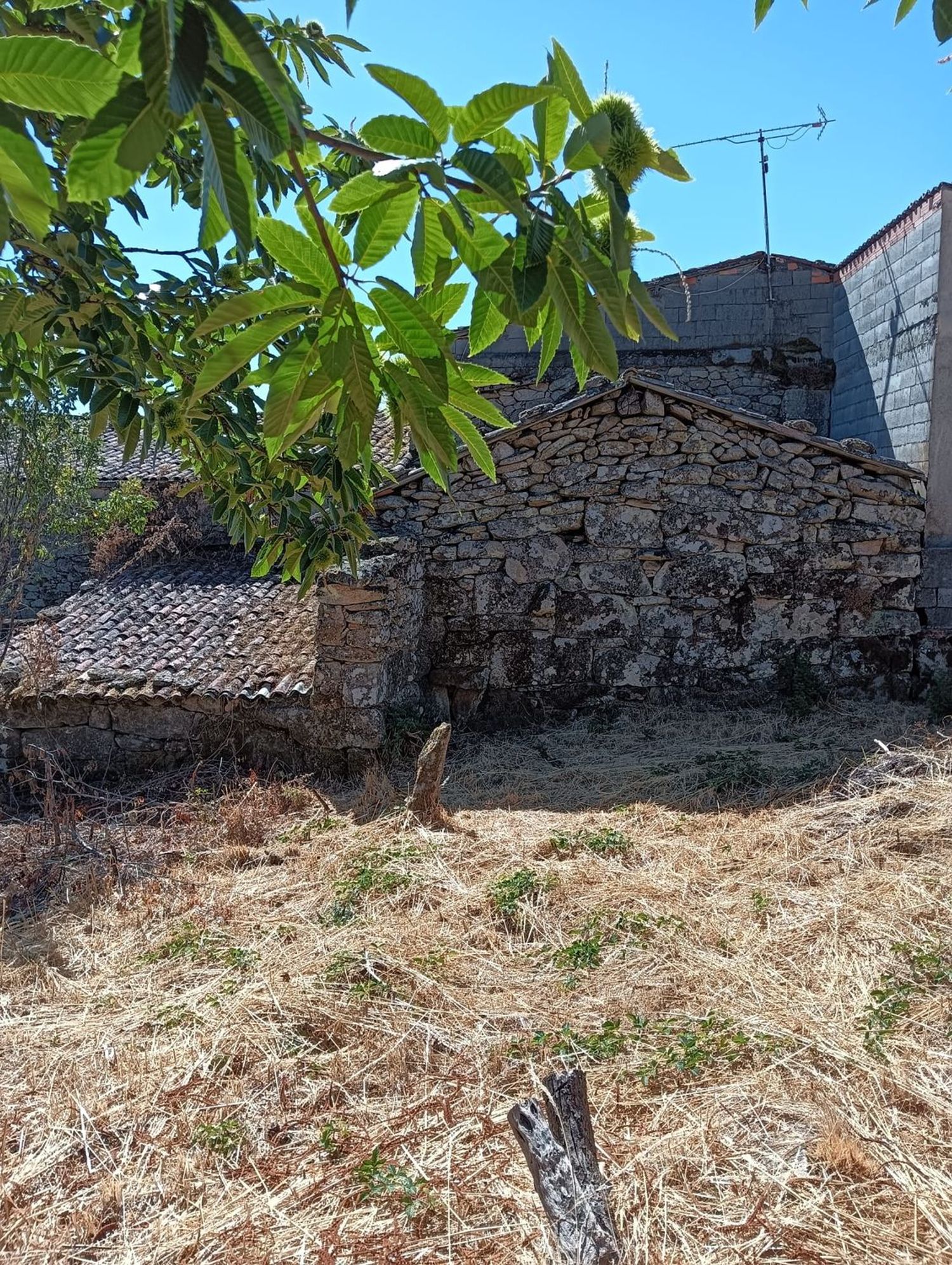 Casa de pueblo en Pedrosa, 1 - Foto 3