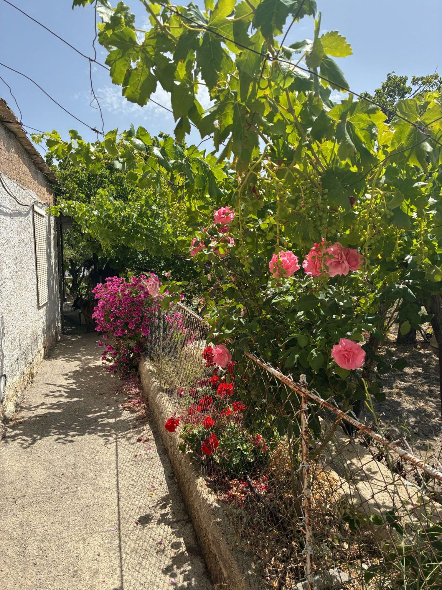 Cortijo en Cortijo en A-1178 s/n - Foto 5