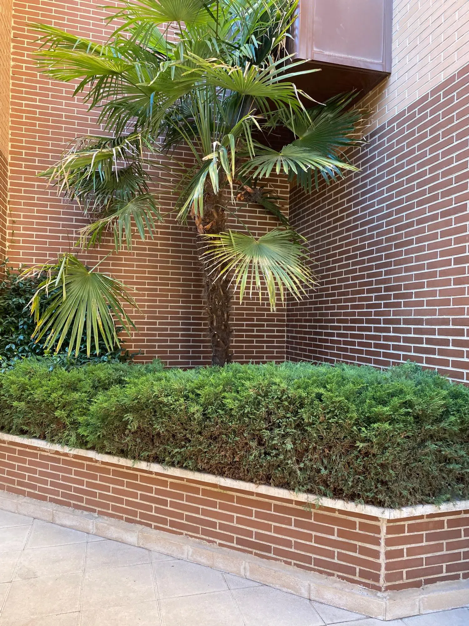 Piso en calle de la Maquinilla, 8 - Foto 29