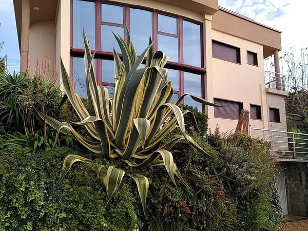 Casa independiente en Subida á Madroa, 99 - Foto 13