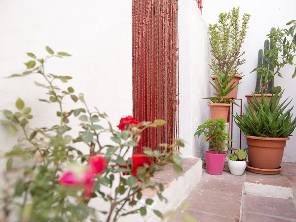 Casa de pueblo en Calle Colón, 7 - Foto 13