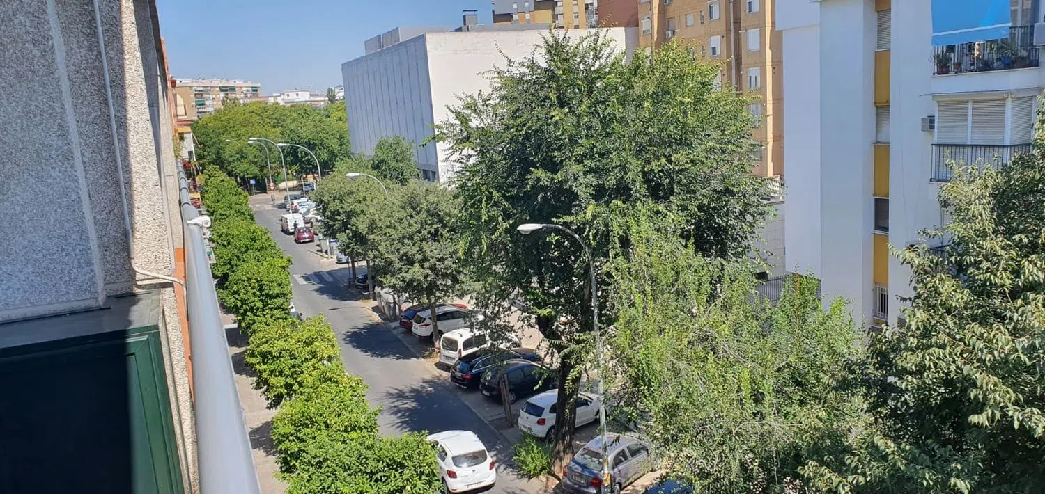 Piso en avenida de Ramón y Cajal, 41 - Foto 21