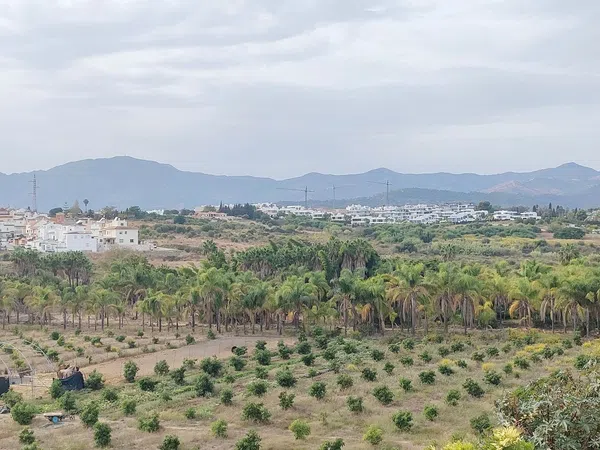 Chalet pareado en calle del Estanque, 1 - Foto 34