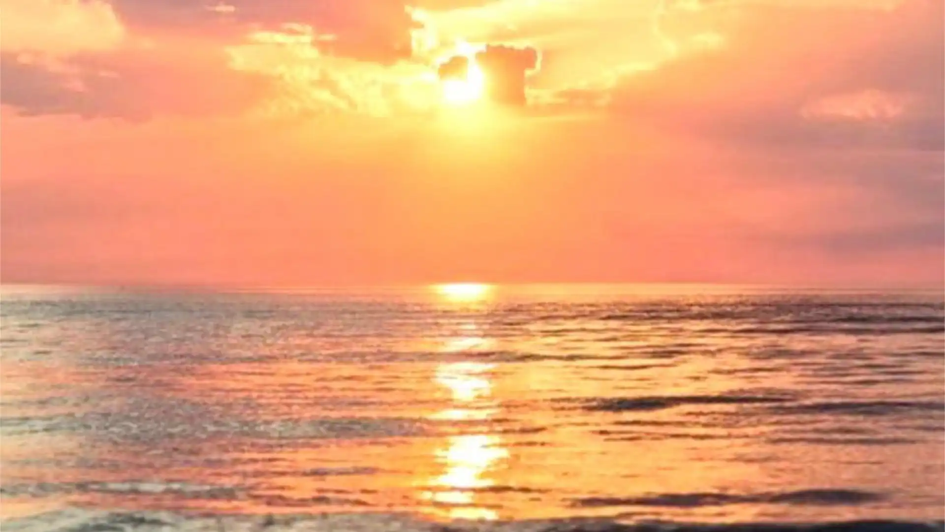 Piso en  Avenida Carmen Werner 14 - Foto 14