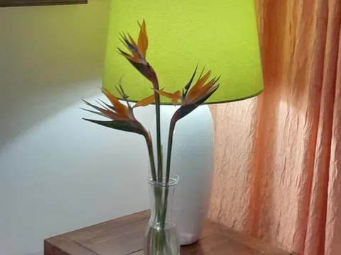 Piso en calle de Hernani, 37