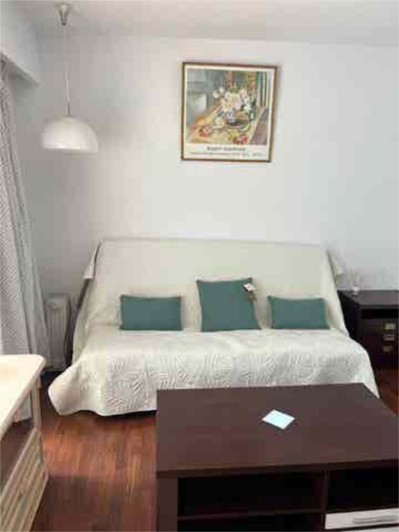 Estudio en fuentes del rodeo - Foto 3