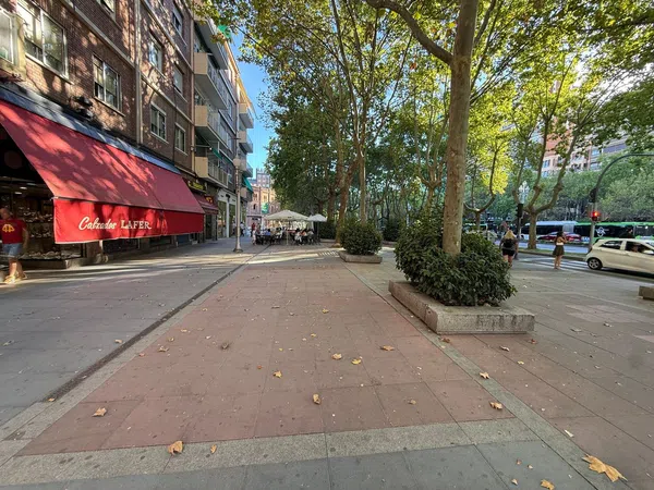 Piso en Paseo de Zorrilla, 45, Pº Zorrilla - Plaza de Toros, Pº Zorrilla - Plaza de Toros - Foto 12