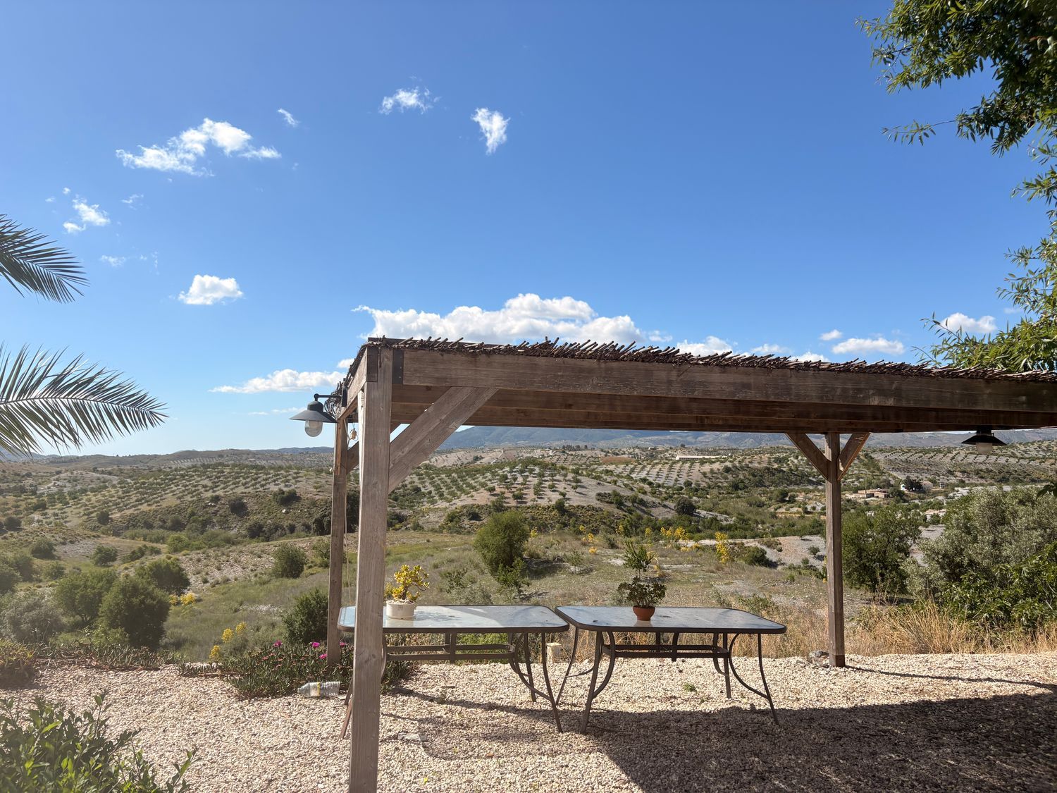 Cortijo en Paraje Zarzalico s/n - Foto 21