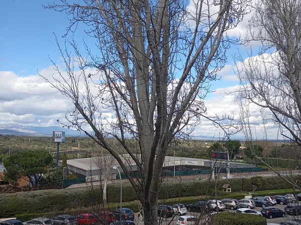 Piso en Carretera de El Plantío, 124, Zona Carretera del Plantío - Foto 15
