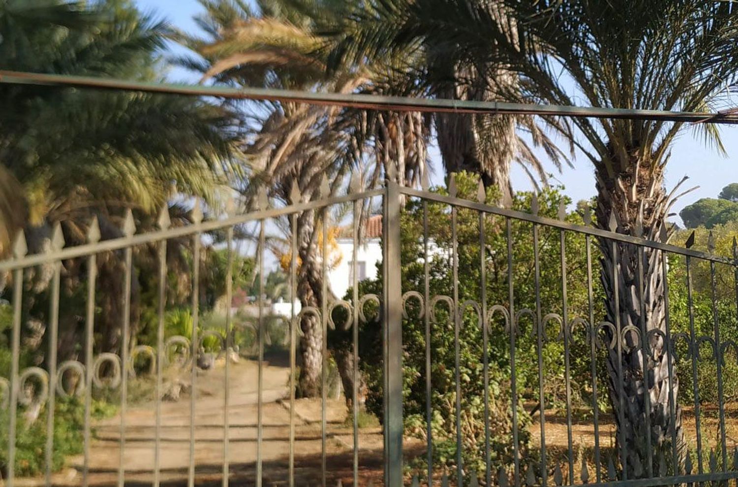 Finca rústica en Diseminados dirección a Puñanilla s/n - Foto 3