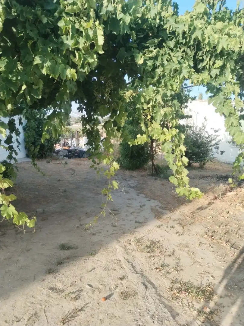 Chalet en  Calle Ribera Baja 128B - Foto 3