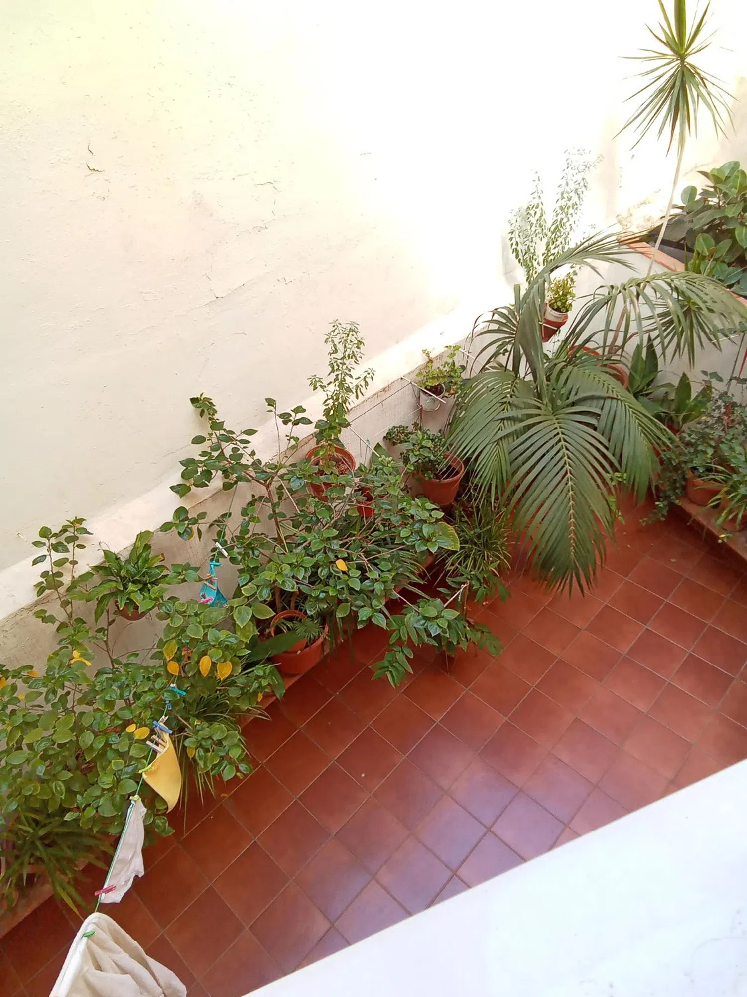 Piso en avenida del Masnou, 64 - Foto 10