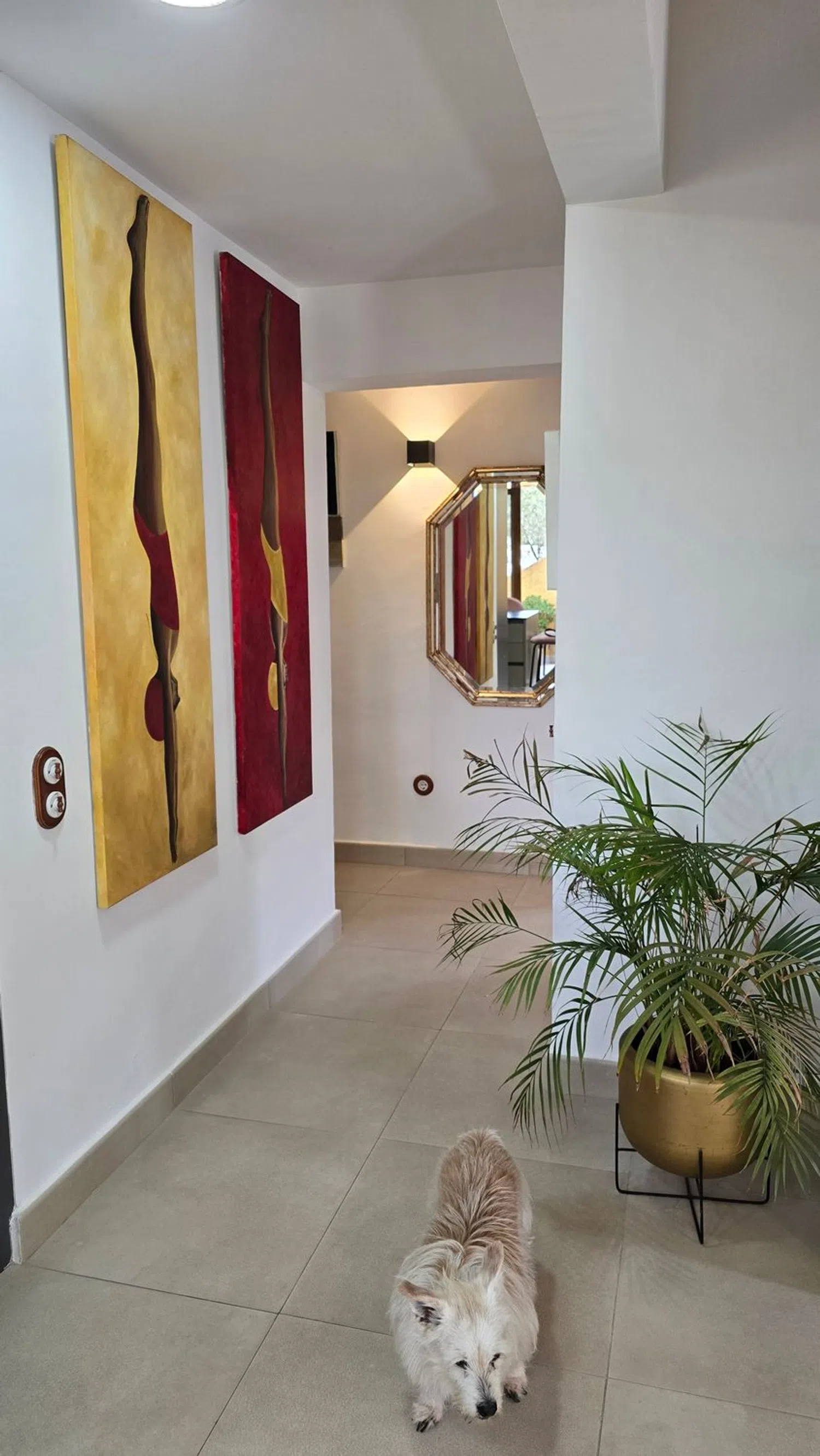 Casa independiente en Rei Jaume Ii, 17 - Foto 13