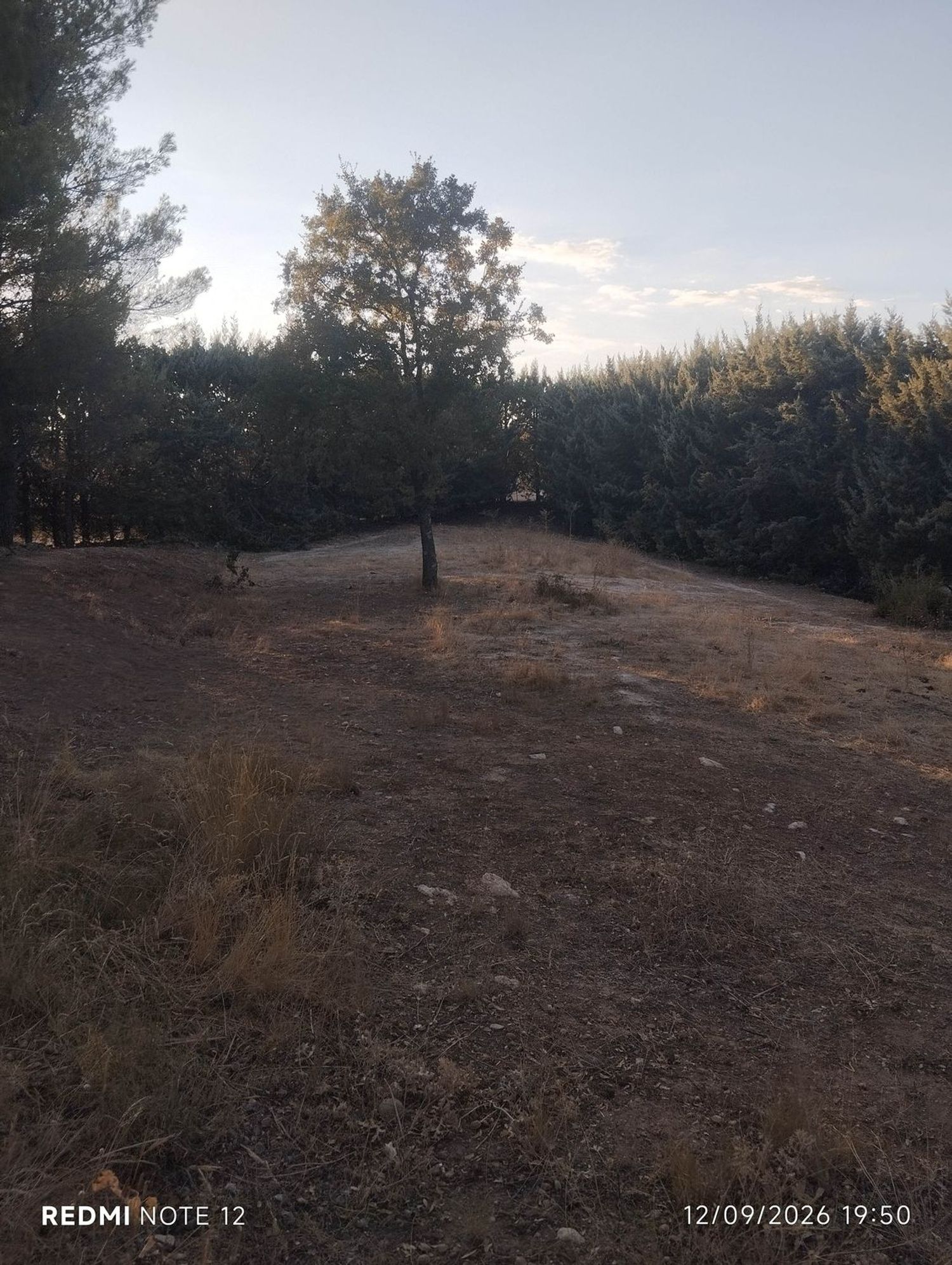 Finca rústica en Calle la Fuente, 2 - Foto 11