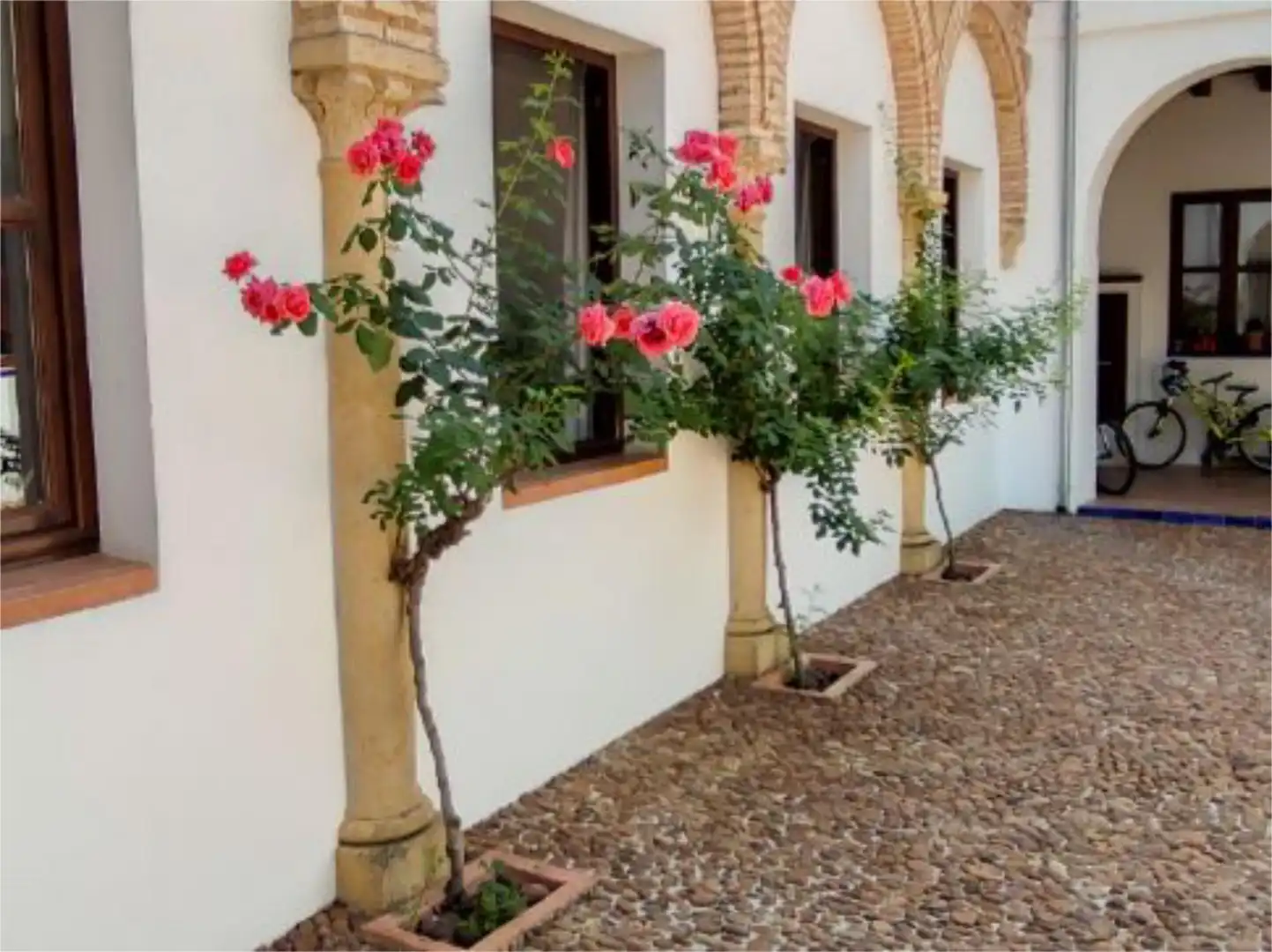 Apartamento en  Calle Valderrama 6 - Foto 23