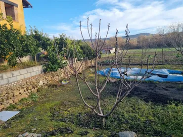 Finca rústica en  Avenida Gabriel y Galán 2 - Foto 6