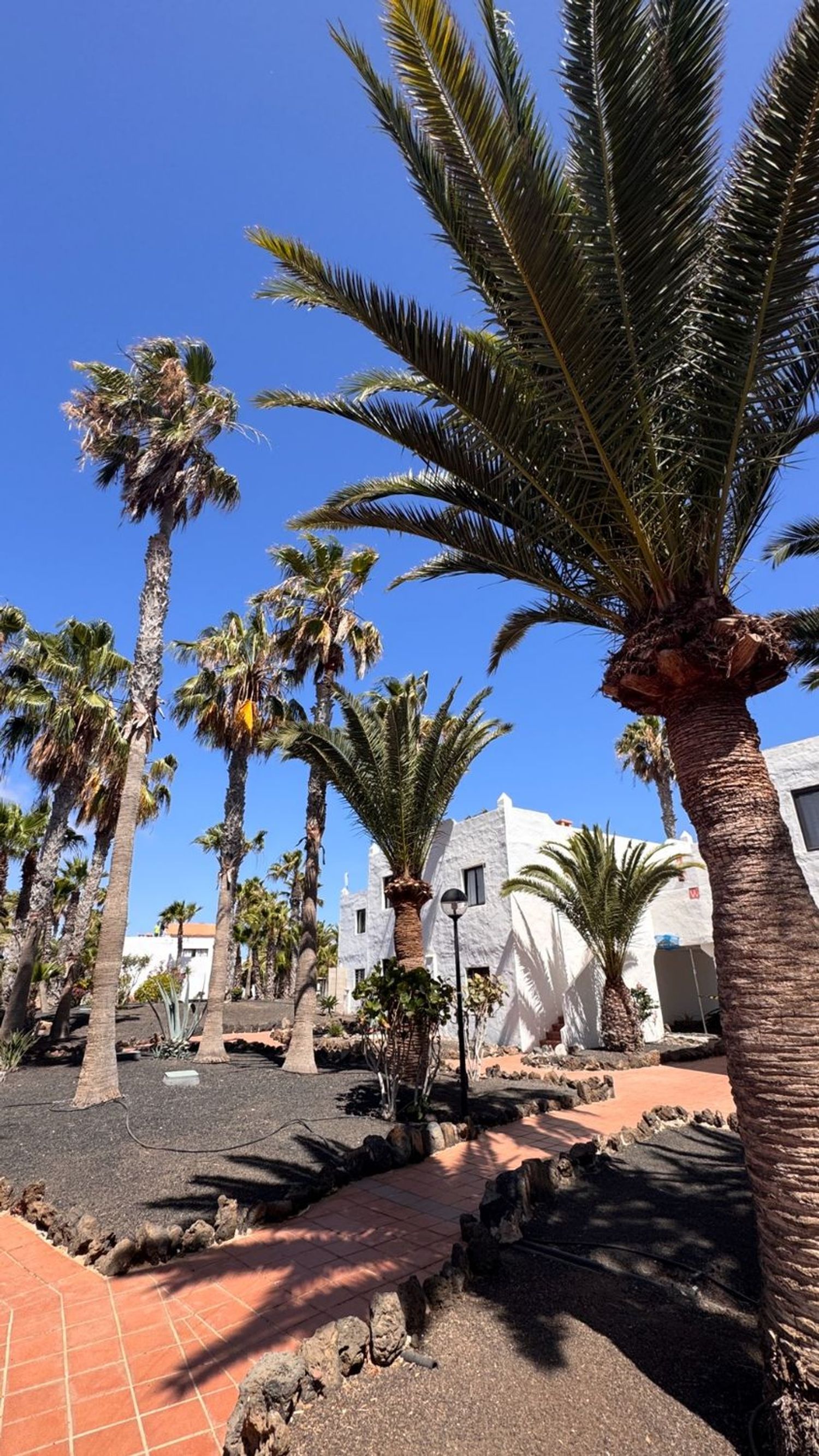 Piso en Calle Maxorata, 2, Corralejo, Corralejo - Foto 9