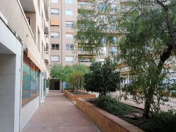 Piso en Calle Virgen de la Cinta, 21, Ramón de Carranza - Madre Rafols - Foto 12