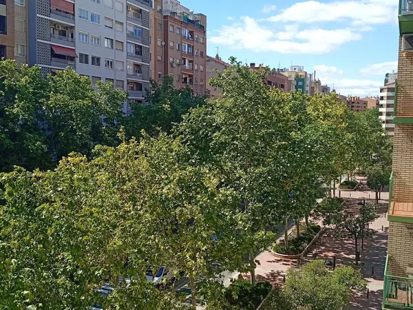 Piso en Paseo de Calanda, 42, Delicias - Foto 3