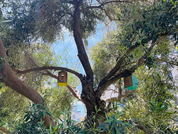 Piso en calle Médico Andrés Boldó, 1 - Foto 24