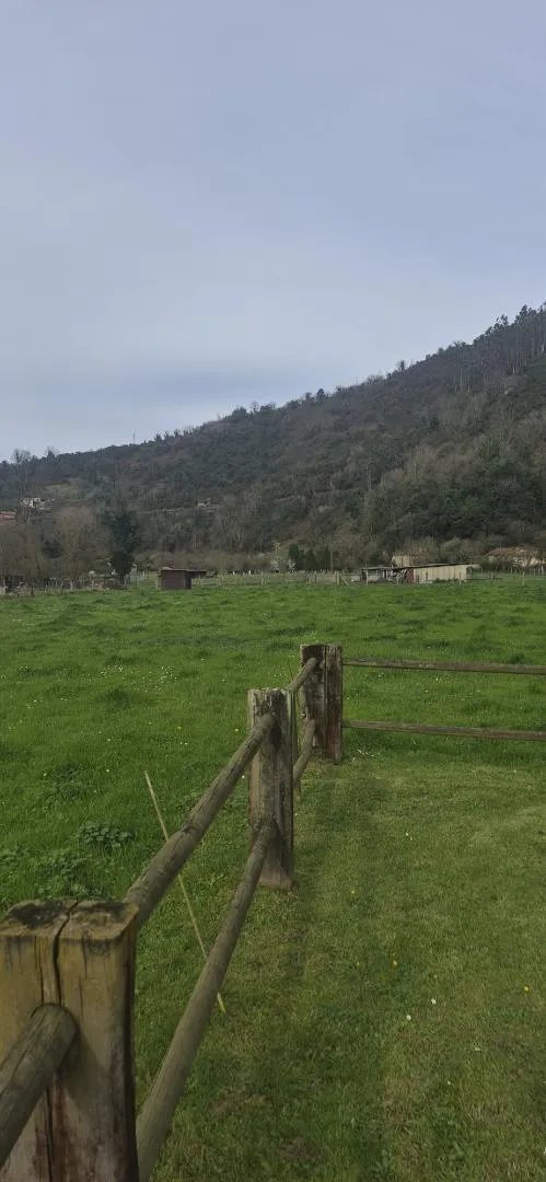 Finca rústica en  Lugar Godos 9 - Foto 13