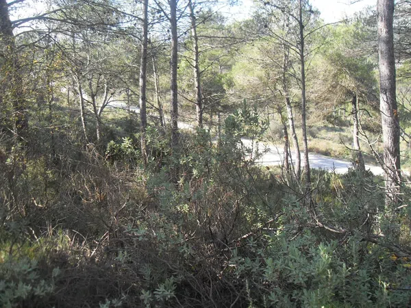 Finca rústica en Cv-712, 7 - Foto 16