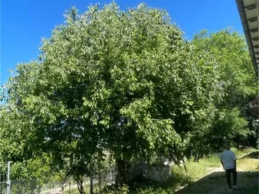 Chalet en Yeste, Albacete - Foto 9