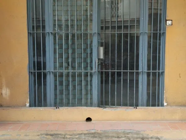 Nave en Calle de Joan Fiveller, 18, Riera - Foto 5