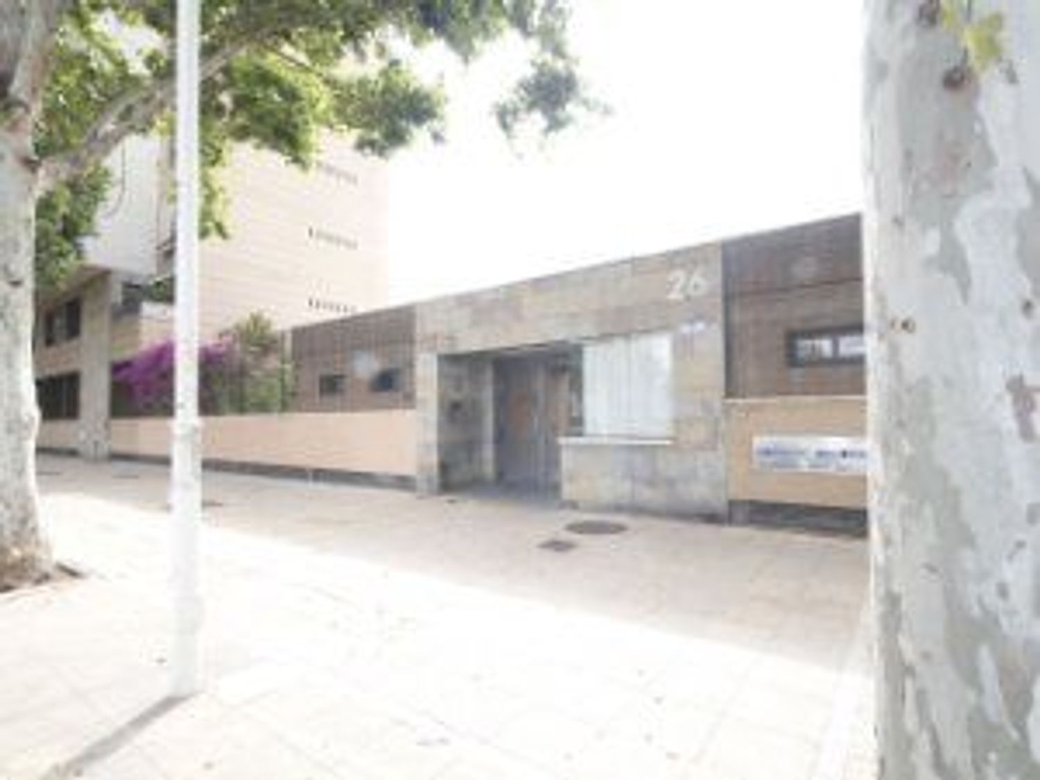 Alquiler de piso en Avenida Concejal Alberto Jiménez-Becerril, 26 - Foto 3