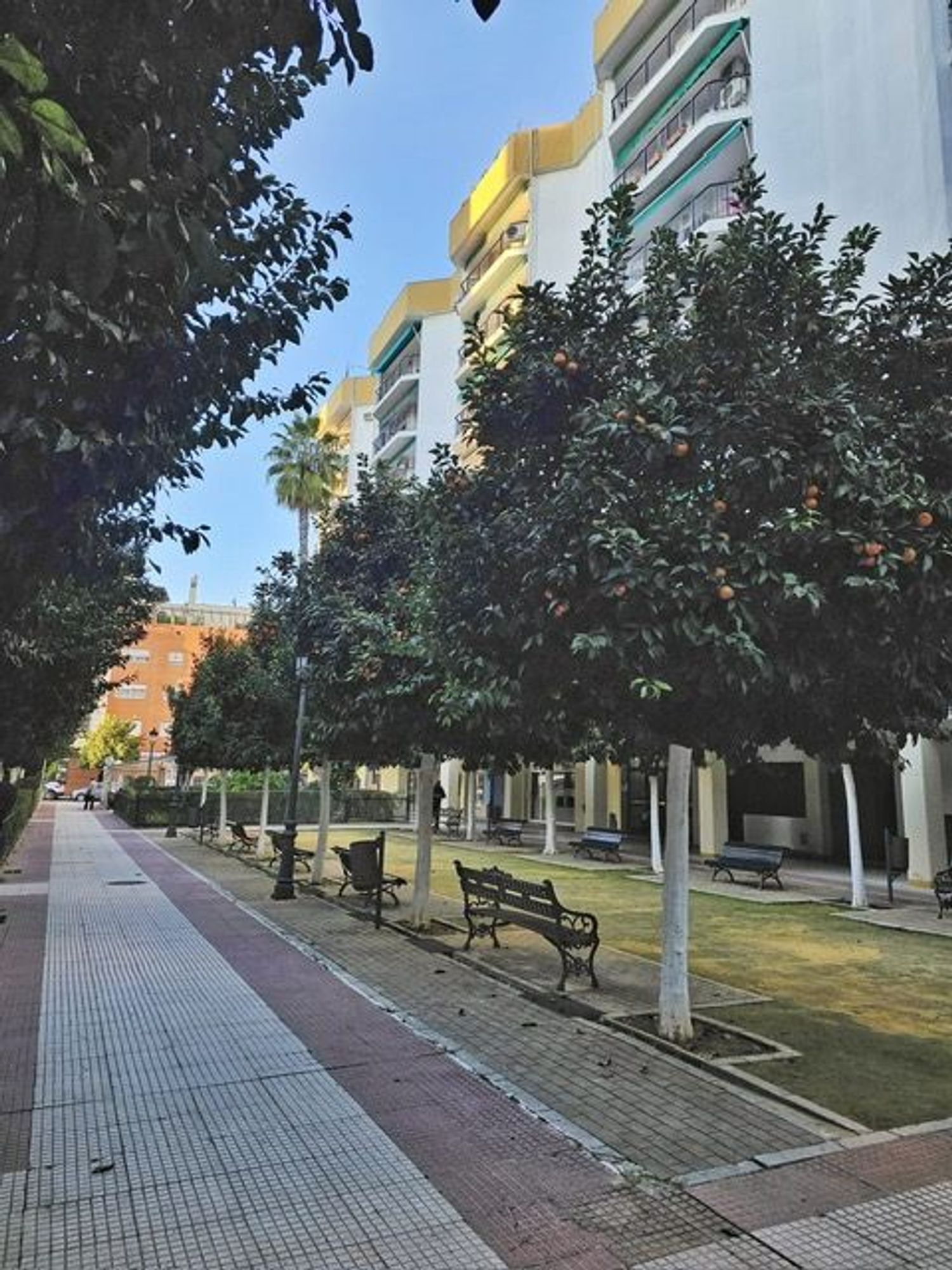 Piso en Calle Manuel Arellano, 8, Ronda de Triana-Patrocinio-Turruñuelo - Foto 14