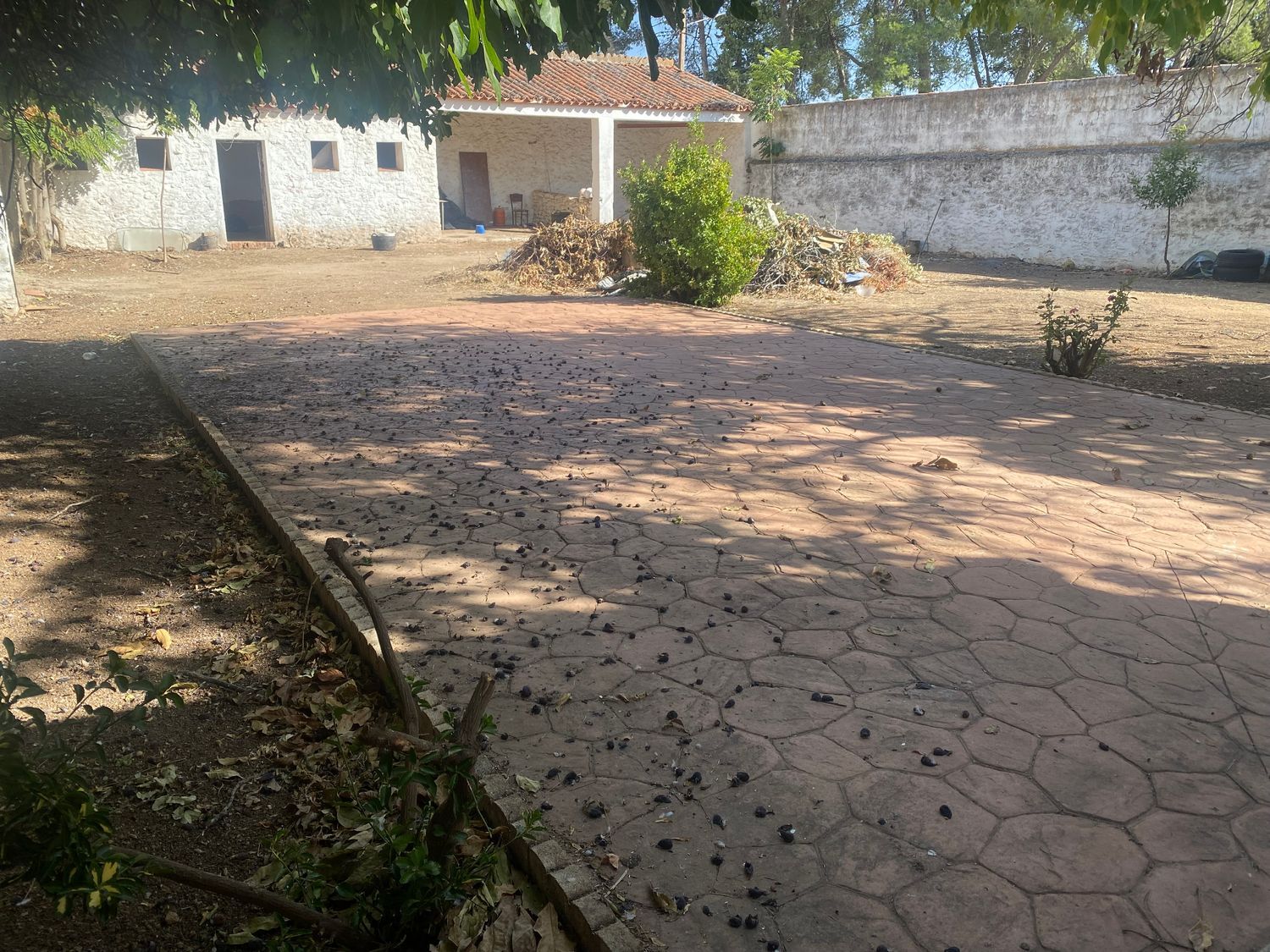 Casa de pueblo en Don quijote, 22 - Foto 10