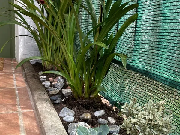 Piso en Avenida de los Álamos, 17 - Foto 22